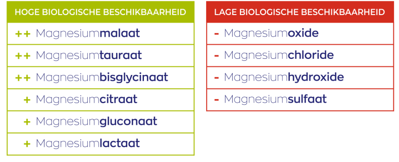 Magnesium Malaat Vitakruid